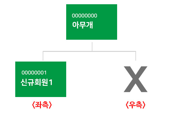 계보도